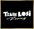 LOSI VINTAGE TEAM LOGO TSHIRT - Jspec Stickers